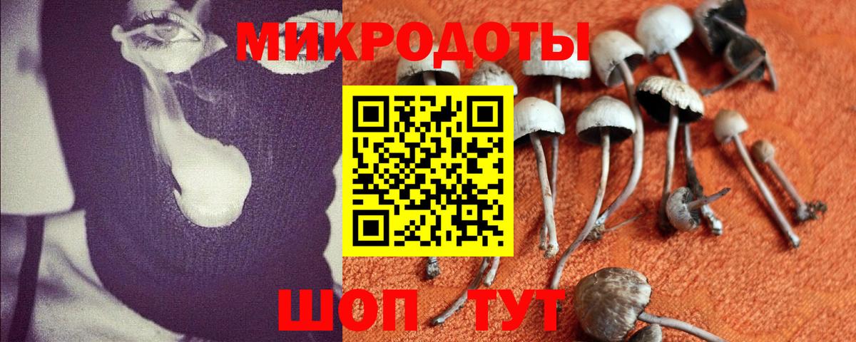 Галлюциногенные грибы Psilocybe  Псилоцибиновые грибы GOLDEN TEACHER  Губкин  Вход с VPN 